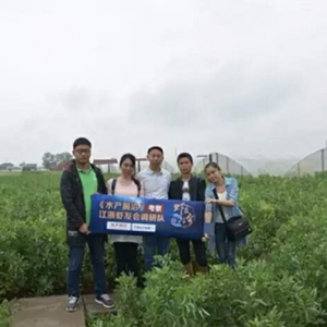 ��|�B�r�˞�����������߮a�����a����