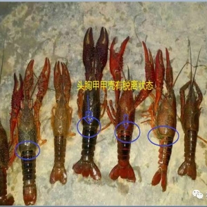 ΢�n����| 5��С���r�װ߾C�ϰY���A����̎������Ԕ��