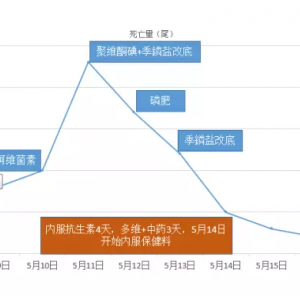 2017��5�·��a�~���B�^����ڵĆ��}����������