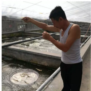 ���S���B�r�a��ֻ��13��/ƽ�ף���һ��ٍ���X