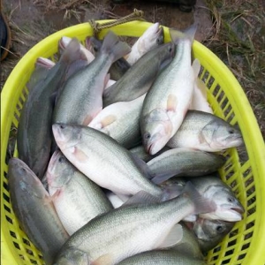 2017��6��1��ȫ�������|���^�r�����������������п��q��