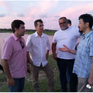 �S��Մ�҇����r�B(y��ng)ֳ���������΄ݺ�����(zh��n)�����Mչ