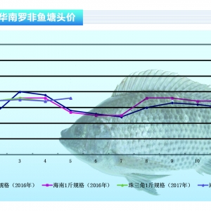 �_���~���������� �����~�r(ji��)���q��һ������ˮ�a(ch��n)ǰ�ء�2017��6�¿��Ј�(ch��ng)څ��(sh��)