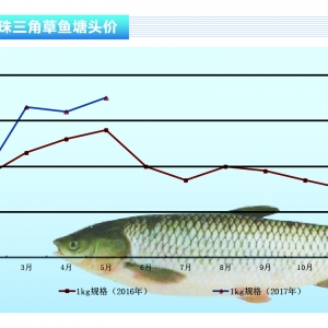 ���~������Ҏ��^�g���~�r�΄�ϲ�ˡ�����ˮ�aǰ�ء�2017��6�¿��Ј�څ��