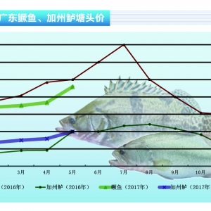 �Z�~���~�r�����ϝq������ˮ�aǰ�ء�2017��6�¿��Ј�څ��