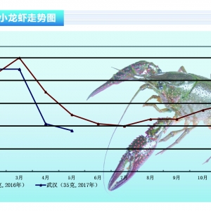 С���r���Ј��������� �r�����w�»�������ˮ�aǰ�ء�2017��6�¿��Ј�څ��
