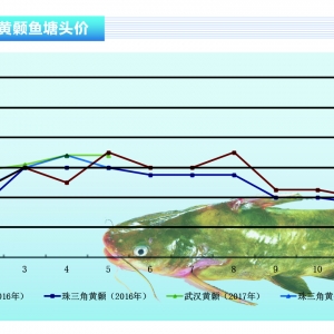 �S��~���A(y��)�y6���~�r�S�֬F(xi��n)�����ˮ�a(ch��n)ǰ�ء�2017��6�¿��Ј�څ��