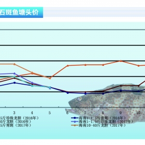 ʯ���~�����~�c��N�r���R��������ˮ�a(ch��n)ǰ�ء�2017��6�¿��Ј�څ��