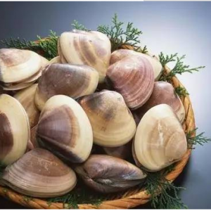 ͘��/����/�|�ӵ��������پ��ֱ����{�ɼ����x��