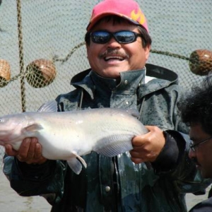 ���������ԓ�������oʹ���o�������ٱ�����@�����g�ɘO������~���Ч��