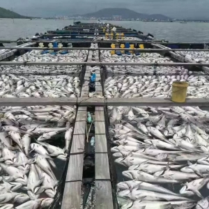 �K�ң�������ˮ�´��ͻ�l(f��)��Ҏ(gu��)ģ���~�¹ʣ��~ʬ�ѷe��ɽ��