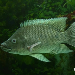 �����}�ֳ��L����15���¿��_3-4���ҿ��������~Ƭ�����r�y�B���B������