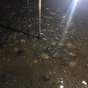 ����ˮ���Ρ��h���߉��£����Ҽ��~߀���B��?