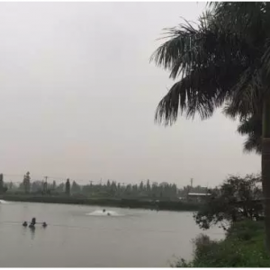 �����^�fÿ��߀��ٍ5-6�f���ļ����|��һ�忴���������ȫ��������r����Ҫ��ã�