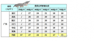 2017��6��23��տ��/ꖽ�/ï��/���T�����׌��r���_���~���^�r��