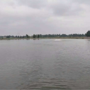 �߶���������  ���ϲ��~�Bֳÿ������3500Ԫ