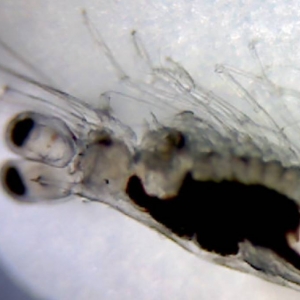 �rԽ��Խ�y�B��������r������K���cԽ��Խ��ľ��ʆ�������ԭ���ǡ�