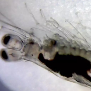 �rԽ��Խ�y�B��������r������K���c�ľ��ʆ�������ԭ���ǡ� | �_�������