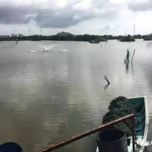 ��������β��һ�B(y��ng)ֳ�������¶������r�M�����װ��fͶ�뚧��һ��