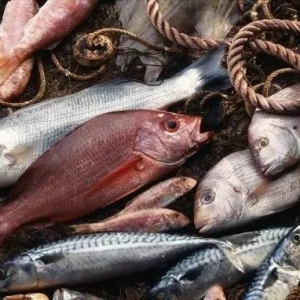 �Ї��˲����ϵ��~�����ă�������