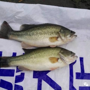 2017��6��28�ռ����|���^�r�������п��q