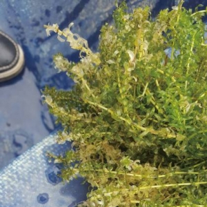 ׌ˮ���h�xˎ�����P�I�cȫ���@���get���ˆ᣿