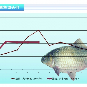 �a�~����������ƽ�� 7������򌢾S��������ˮ�aǰ�ء�2017��7�¿��Ј�څ��