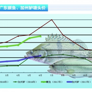 �Z�~��6���~�rƽ�� ���п��ڡ�����ˮ�aǰ�ء�2017��7�¿��Ј�څ��