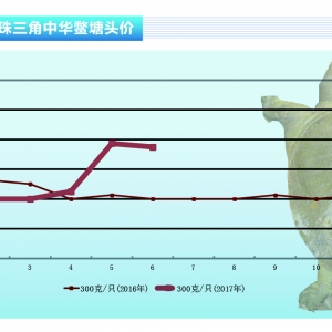 ���~���r��_�ߺ�څ�ڷ�(w��n)��������ˮ�a(ch��n)ǰ�ء�2017��7�¿��Ј�څ��