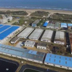 տ����(gu��)(li��n)����(d��ng)����(gu��)ˮ�a(ch��n)�B(y��ng)ֳӋ(j��)�����Ї�(gu��)�B(y��ng)�r���g(sh��)������������