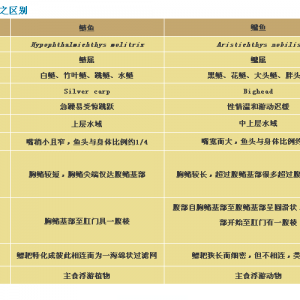 ������~����A���r��һ·�ϓP����ͬ���ǵ�ֵ��ˮ�~�����sҪ�˳��Ј���