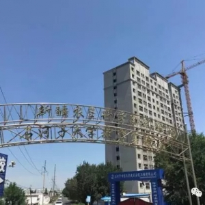 ʯ�����B�r�ɹ��ʏ�8�ɱ�����4�ɣ��������100���r���s������100%�ɹ���