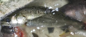 ���|���~�������У��r���ܷ�(w��n)ס��