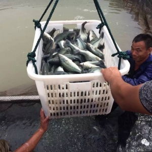 ��ɳ��1000�f��W(w��ng)���~�����ۣ�Ո������Ԯ�֣�