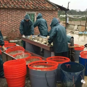 2017��7��20�չ��~�r�����顪��һ�܃ȱ���4-5Ԫ/��V�|�Z�~�r�������ļ���������