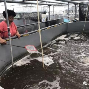 �B(y��ng)�rŮ�_(d��)�������ɹ�һ�����㲻֪����������