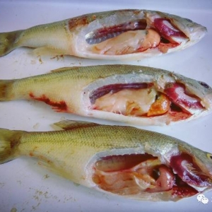 �����|��ʲ������߰l(f��)����η�����