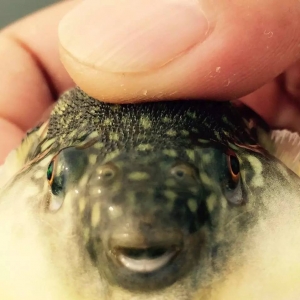 �Ї��������Зl�������_���Ј�����������