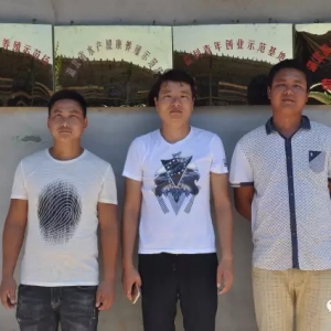 �����B(y��ng)ֳ�S�X��̝3000�f���D(zhu��n)��(zh��n)���q�@�óɹ�