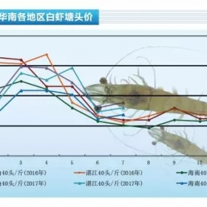 ȫ���r�r���m�j�q���I���A�y���_��5�����߷塪��2017��7��31�������׌��r���^�r