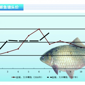 �a�~�����M��������7�r���j��������ˮ�aǰ�ء�2017��8�¿��Ј�څ��