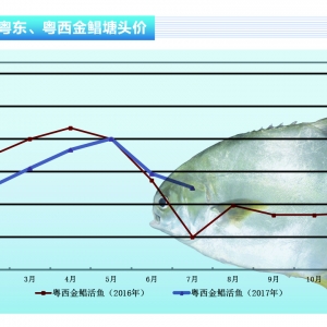 ���K�� �ߜء��������_�L�����������؉��� ���K�~������m�����r����������ˮ�aǰ ...