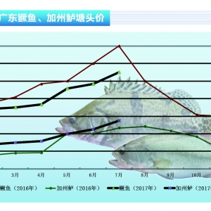 �Z�~�����Ⱪ��4-5Ԫ/��  �Z�~�����ļ���������������ˮ�aǰ�ء�2017��8�¿��Ј�څ��