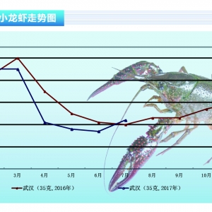 С���r��7���Ј��rһ·�߸� 8���^�m���q������ˮ�aǰ�ء�2017��8�¿��Ј�څ��