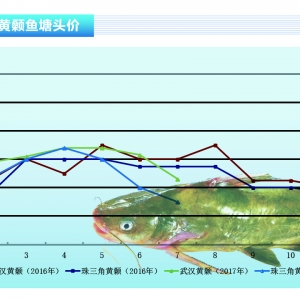 �S��~��7�³��~�������� �r����䡪����ˮ�aǰ�ء�2017��8�¿��Ј�څ��