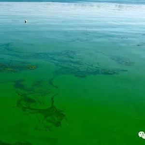 �����{���������У�������ˎ��ֻ���b���@�_���������I���������Ϳ�����