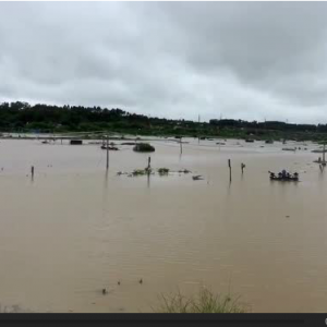 ������(z��i)ϴ�ٱ����Fɽ�� 5000�஀�r�����̛]