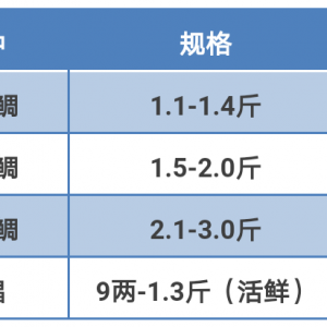 2017��8��6�հ�ʯ�������K�~���^�r��