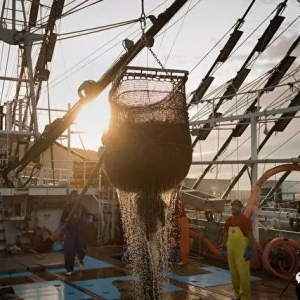 �ﵶ�~�p�a���Ї��^�Ȳ��ƣ��@����҂�������