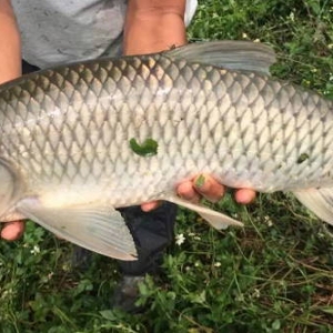 �V�|���~�r(ji��)������y(t��ng)���r(ji��)���µ����@����ô���£�